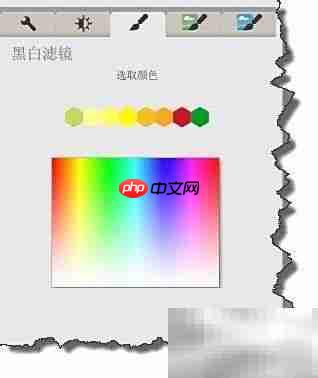 Picasa黑白照片转换技巧