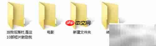 提升性能与美观的电脑优化技巧