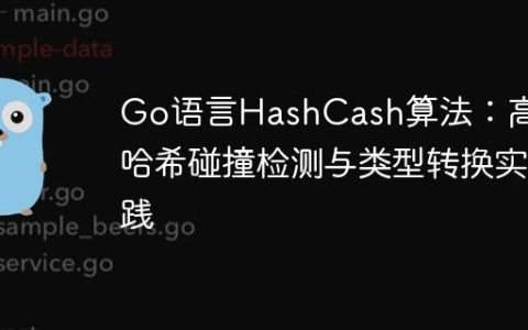 Go语言HashCash算法：高效哈希碰撞检测与类型转换实践