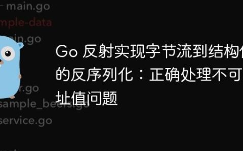 Go 反射实现字节流到结构体的反序列化：正确处理不可寻址值问题