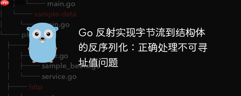 Go 反射实现字节流到结构体的反序列化：正确处理不可寻址值问题