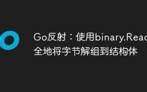 Go反射：使用binary.Read安全地将字节解组到结构体