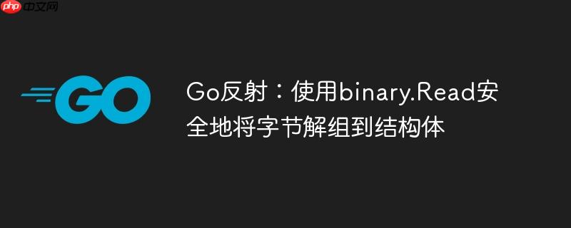 go反射：使用binary.read安全地将字节解组到结构体