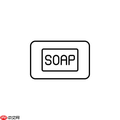 soap性能瓶颈在哪里？如何优化速度？