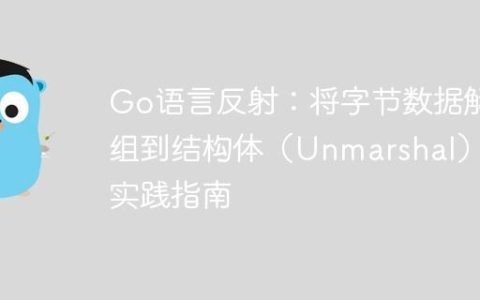 Go语言反射：将字节数据解组到结构体（Unmarshal）的实践指南