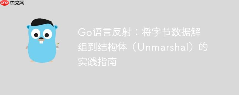 Go语言反射:将字节数据解组到结构体(Unmarshal)的实践指南