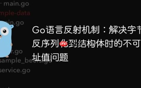 Go语言反射机制：解决字节流反序列化到结构体时的不可寻址值问题
