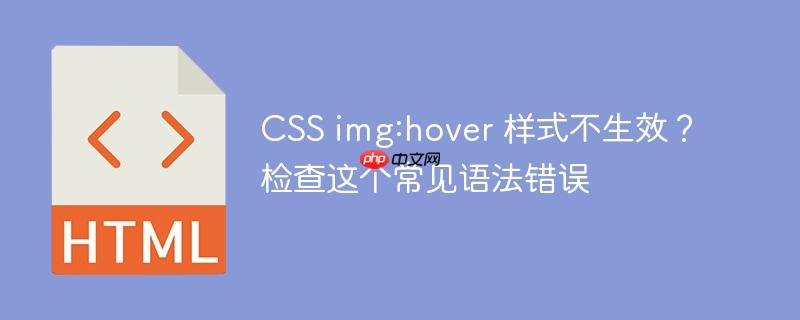 CSS img:hover 样式不生效?检查这个常见语法错误
