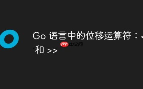 Go 语言中的位移运算符：>