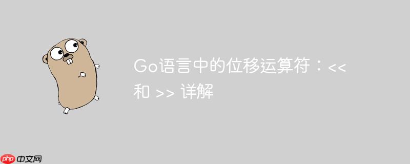 Go语言中的位移运算符：> 详解