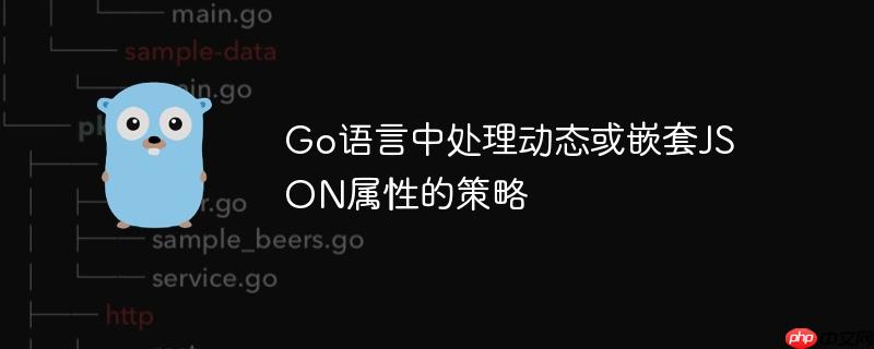 go语言中处理动态或嵌套json属性的策略