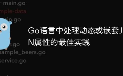Go语言中处理动态或嵌套JSON属性的最佳实践