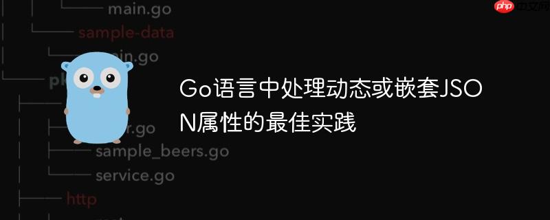 Go语言中处理动态或嵌套JSON属性的最佳实践