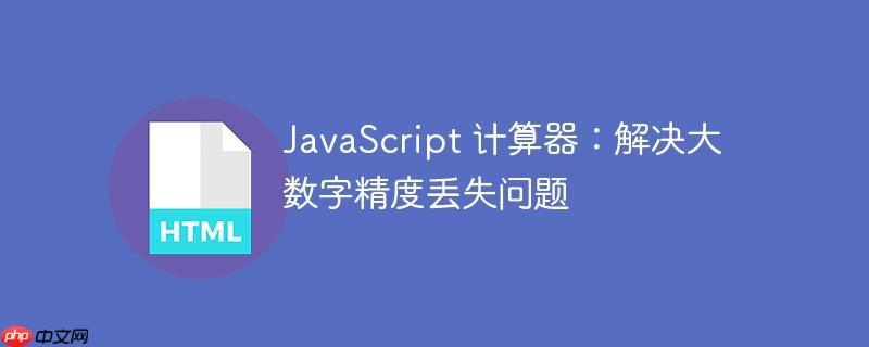 javascript 计算器:解决大数字精度丢失问题
