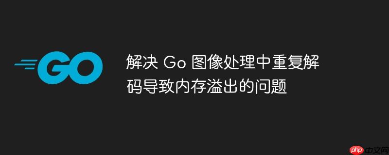 解决 go 图像处理中重复解码导致内存溢出的问题