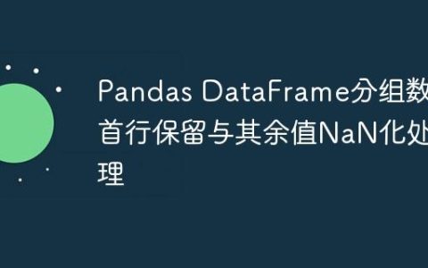 Pandas DataFrame分组数据首行保留与其余值NaN化处理