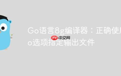 Go语言8g编译器：正确使用-o选项指定输出文件