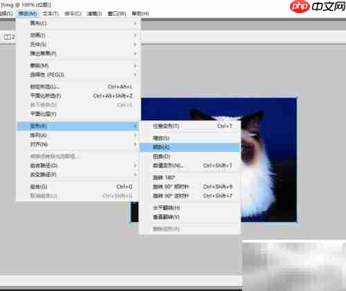 Fireworks图片倾斜设置技巧