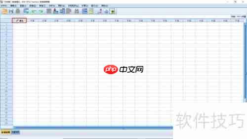 SPSS软件入门简介