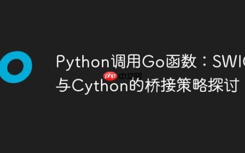 Python调用Go函数：SWIG与Cython的桥接策略探讨