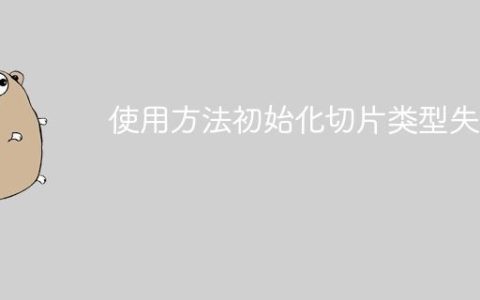 使用方法初始化切片类型失败