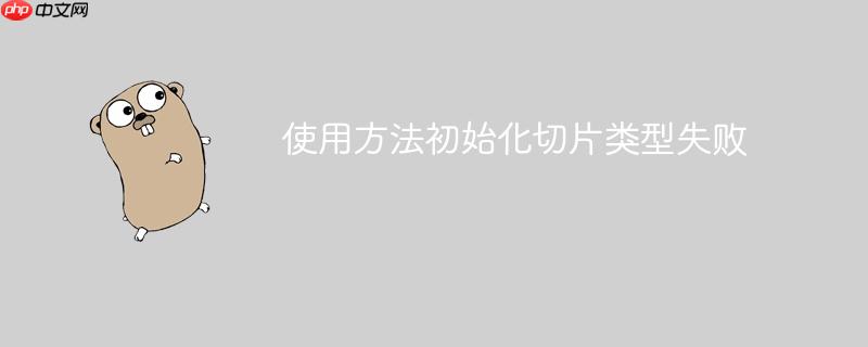 使用方法初始化切片类型失败