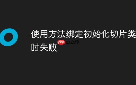 使用方法绑定初始化切片类型时失败