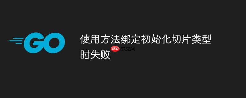 使用方法绑定初始化切片类型时失败