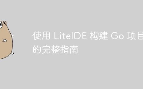 使用 LiteIDE 构建 Go 项目的完整指南