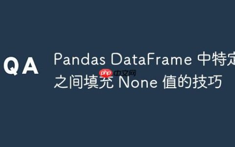 Pandas DataFrame 中特定值之间填充 None 值的技巧