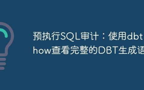 预执行SQL审计：使用dbt show查看完整的DBT生成语句