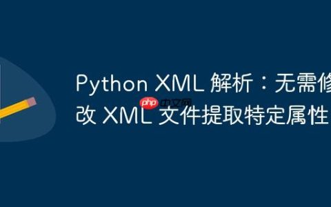 Python XML 解析：无需修改 XML 文件提取特定属性