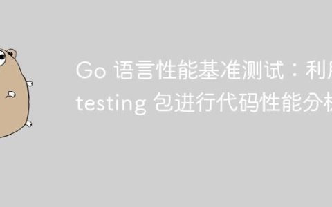 Go 语言性能基准测试：利用 testing 包进行代码性能分析