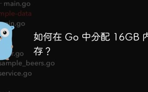 如何在 Go 中分配 16GB 内存？