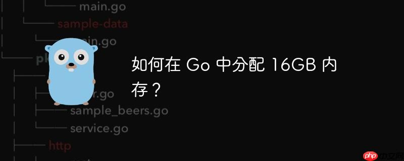 如何在 go 中分配 16gb 内存？