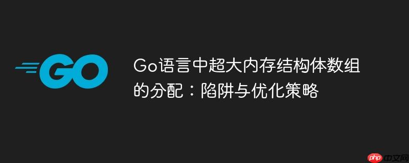 Go语言中超大内存结构体数组的分配：陷阱与优化策略