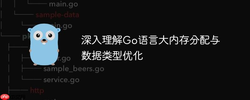 深入理解Go语言大内存分配与数据类型优化