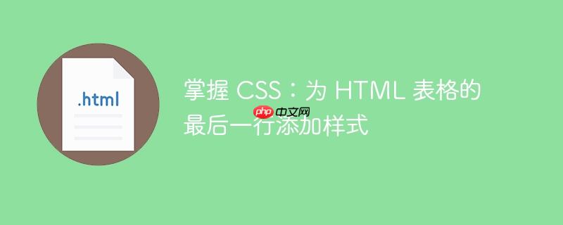 掌握 CSS:为 HTML 表格的最后一行添加样式