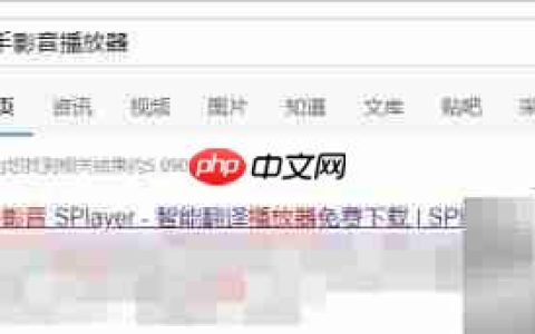 射手影音播放器下载安装指南