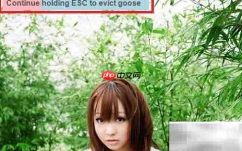 Desktop Goose卸载方法