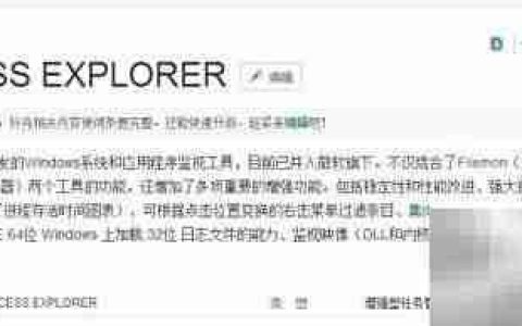 Process Explorer汉化版安装指南