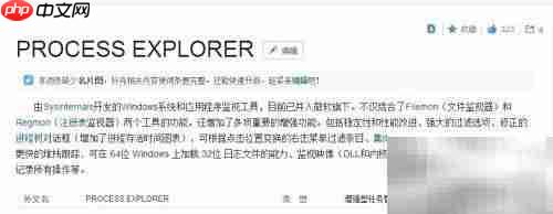 Process Explorer汉化版安装指南