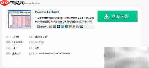 Process Explorer汉化版安装指南