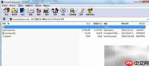 Process Explorer汉化版安装指南