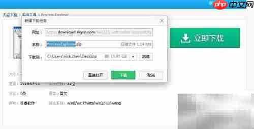 Process Explorer汉化版安装指南