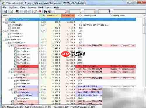 Process Explorer汉化版安装指南