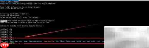 Linux系统简介