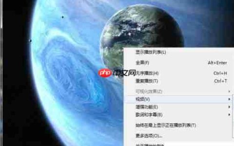 Windows Media Player播放速度调整