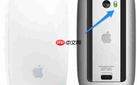 Magic Mouse 使用指南