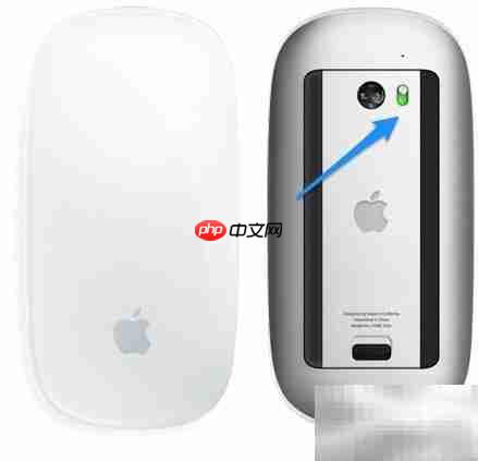 Magic Mouse 使用指南